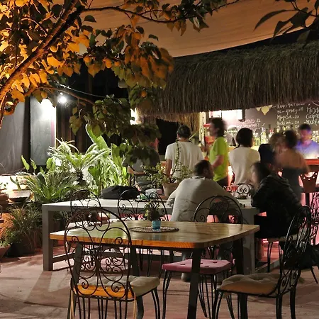 Frühstückspension Yucca Alaçatı