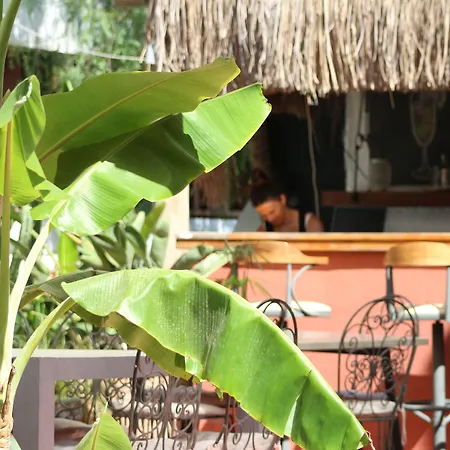 Yucca Frühstückspension