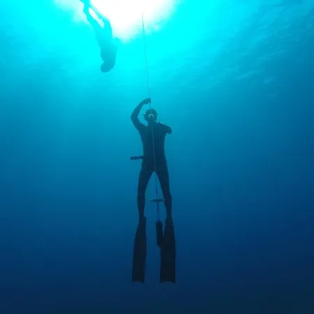 Yucca Frühstückspension