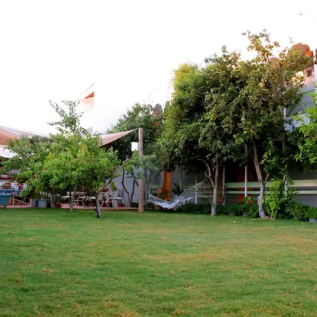 Bed & Breakfast Yucca